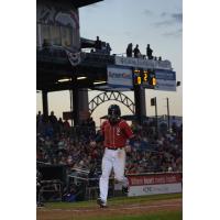 Fisher Cats score