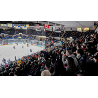 A crowd at The Dow watches the Saginaw Spirit