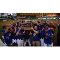 Durham Bulls celebrate International League title