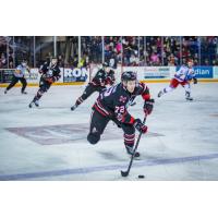 Niagara IceDogs in preaseason play