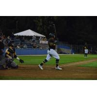 Martin Figueroa of the Sussex County Miners homers to win the Can-Am League championship