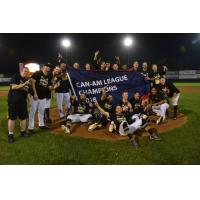 Sussex County Miners celebrate the Can-Am League championship