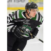 Forward Steven Agriogianis with the Cedar Rapids RoughRiders