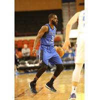 PG Damon Lynn with the Texas Legends