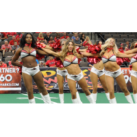 Jacksonville Sharks Attack Dance Team