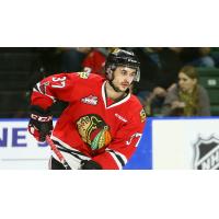 Portland Winterhawks forward Connor Barley