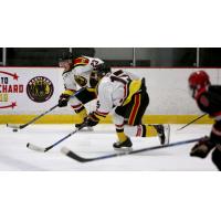 Maryland Black Bears rush up the ice