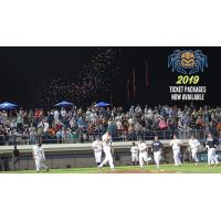 Fond du Lac Dock Spiders take the field