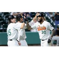 Long Island Ducks celebrate David Washington's homer