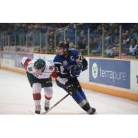 Saint John Sea Dogs vs. the Halifax Mooseheads