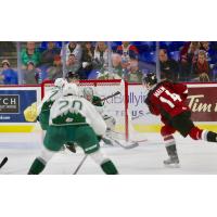 James Malm of the Vancouver Giants takes a shot against the Everett Silvertips