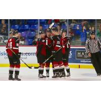 Vancouver Giants celebrate a goal vs. the Everett Silvertips