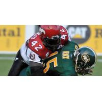 Mike Labinjo of the Calgary Stampeders sacks Edmonton Eskimos quarterback Ricky Ray