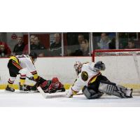 Maryland Black Bears make a sprawling save