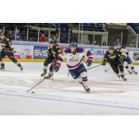 Saginaw Spirit vs. the Sarnia Sting