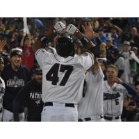 Somerset Patriots celebrate Endy Chavez's home run