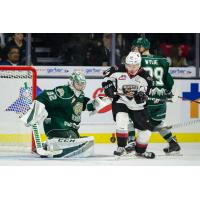 Vancouver Giants chase a loose puck against the Everett Silvertips