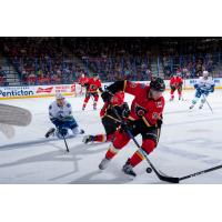 Former Kelowna Rocket Dillon Dube with the Calgary Flames