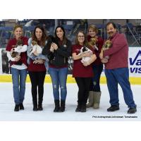 Johnstown Tomahawks Pucks and Paws Promotion