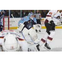 Goaltender Jake Paterson with the Milwaukee Admirals