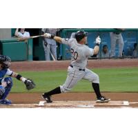 Lew Ford of the Long Island Ducks watches his home run