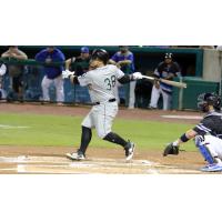 Ramon Cabrera at the plate for the Long Island Ducks