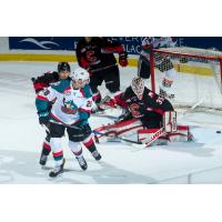 Kelowna Rockets slip the puck past the Prince George Cougars