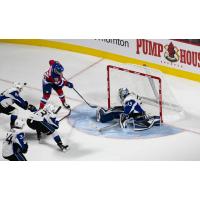 Saint John Sea Dogs goaltender Alex D'Orio tries to fend off the Moncton Wildcats