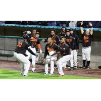 Long Island Ducks celebrate David Washington's clutch homer