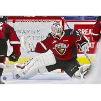 Vancouver Giants goaltender David Tendeck