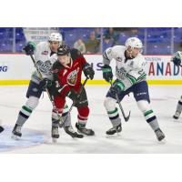 Vancouver Giants forward Evan Patrician battles the Seattle Thunderbirds