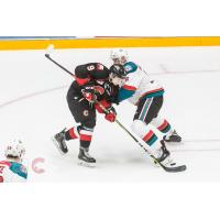 Kelowna Rockets battle the Prince George Cougars