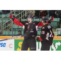 Prince George Cougars celebrate a goal