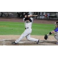 Dan Lyons of the Long Island Ducks with a big swing