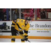 Defenceman Ty Ettinger with the Brandon Wheat Kings