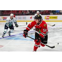 Clay Hanus of the Portland Winterhawks