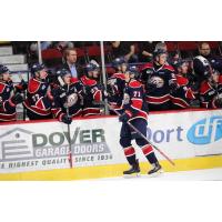 Saginaw Spirit LW Nicholas Porco celebrates a goal with the bench