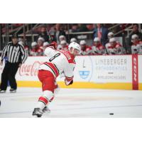 Defenseman Philip Samuelsson with the Charlotte Checkers