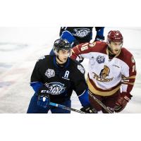 Saint John Sea Dogs vs. the Acadie-Bathurst Titan