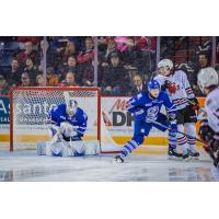 Mississauga Steelheads goaltender Jacob Ingham vs. the Niagara IceDogs