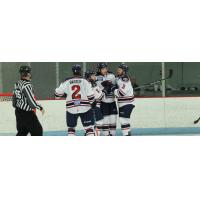 South Carolina Stingrays celebrate a goal in the preseason opener