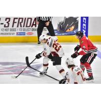 Alex Broadhurst of the Cleveland Monsters skates by the Rockford IceHogs