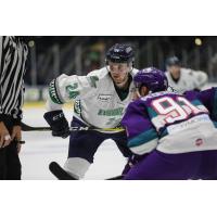 Florida Everblades forward Adam Gilmour faces off against the Orlando Solar Bears in preseason action