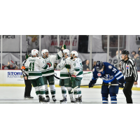 Iowa Wild celebrates a goal against the Manitoba Moose