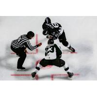 Utah Grizzlies and Idaho Steelheads face off