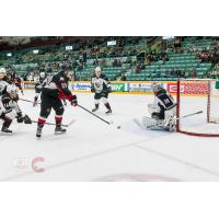 Vancouver Giants goaltender David Tendeck fends off the Prince George Cougars