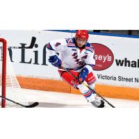 Kitchener Rangers RW Joseph Garreffa