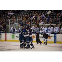 Sioux Falls Stampede celebrate a goal against the Fargo Force