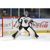 Vancouver Giants goaltender Trent Miner