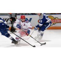 Kitchener Rangers battle the Sudbury Wolves